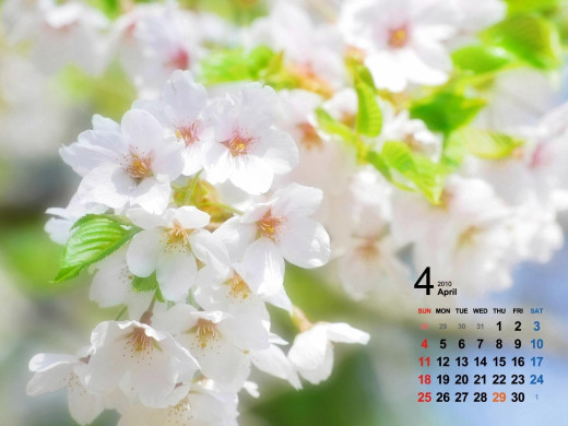 402544 (a): :1600x1200